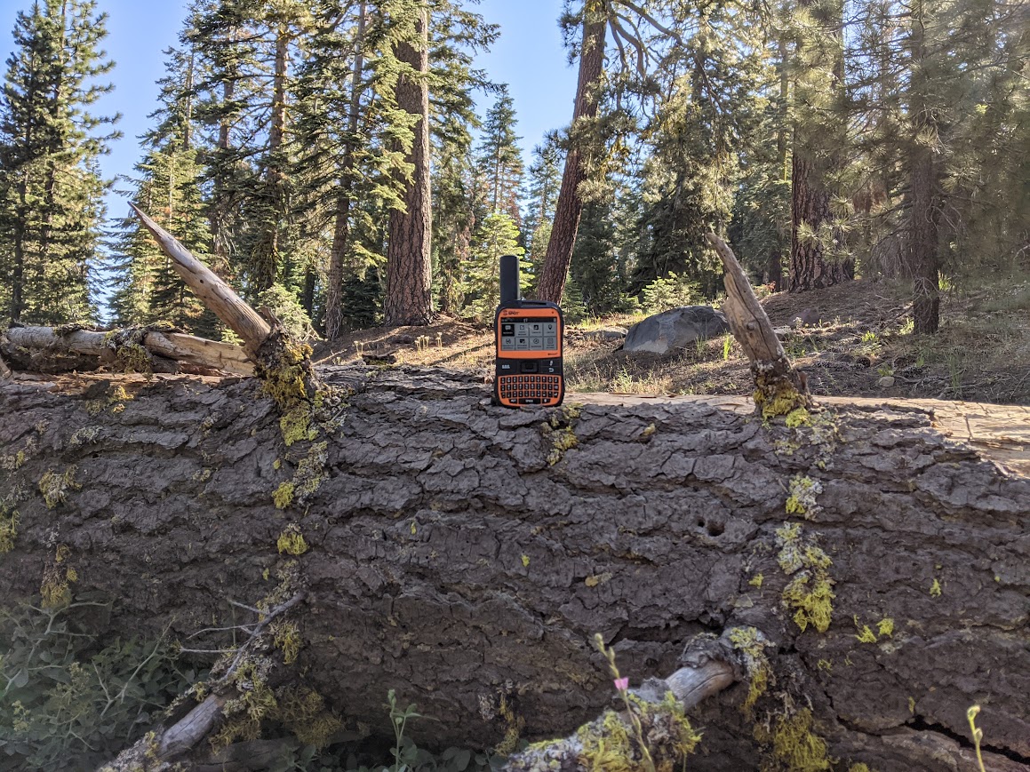 spot x forest