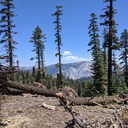 Almost ran out of gas.